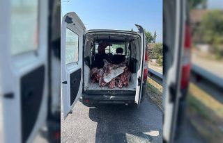 Aydın’da, sağlıksız şartlarda taşınan 300...