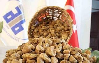 Aydın’da sezonun ilk kuru inciri 350 liradan satıldı