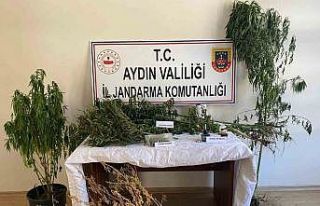 Aydın’da uyuşturucudan 26 şüpheli yakalandı