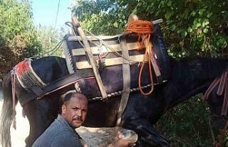 Baba mesleği olan nalbantlığı yaşatmaya çalışıyor