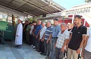 Bahçe çimlerini sularken elektriğe kapılıp öldü