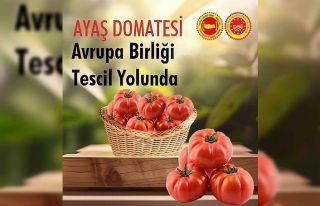 Bakan Kacır: "Ayaş domatesi, inceleme süreçlerinin...