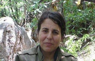 Bakan Yerlikaya duyurdu: "Gri kategoride terörist...