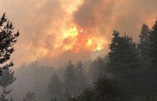 Bakan Yumaklı: "Akseki yangını kontrol altında"