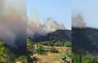Balıkesir Valisi Ustaoğlu: "Orman yangını...