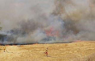 Balıkesir’de orman yangını