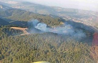 Balıkesir’de orman yangını kontrol altına alındı
