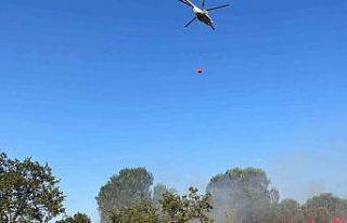 Balıkesir’de ormanlık alan yangını söndürüldü