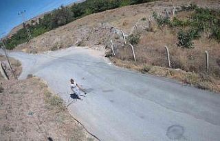 Baltalı hırsız önce fotokapana, ardından jandarmaya...