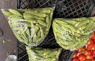 Bamyanın kilosu 100 lira