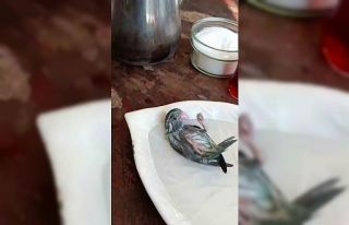 Banyo yaptırdığı kuşuyla olan diyaloğu izleyenlerin...