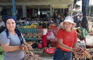 Barbunyaya hasret Barbunya Festivali