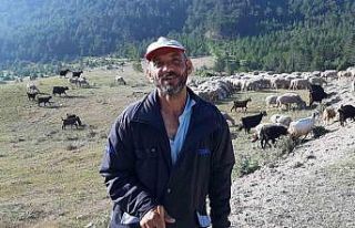 Bartın’dan çobanlık için Bolu’ya geldi
