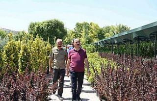 Başkan Altay: "Peyzaj konusunda Büyükşehir...