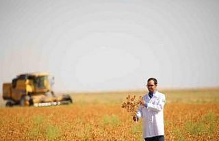 Başkan Altay: "Susuz Tarım Modeliyle ürettiğimiz...