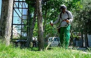 Başkan Avcı: “Daha yeşil bir Altıeylül için...