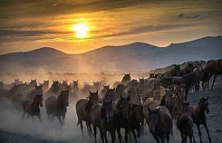 Başkan Büyükkılıç’tan Cumhurbaşkanı Erdoğan’a...