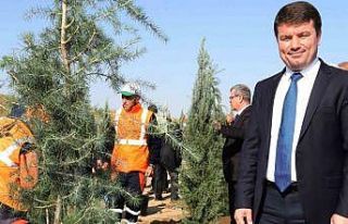 Başkan Dinçer: “Aksaray’ımızın yeşil alanını...