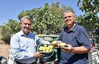 Başkan Erol, vatandaşları festivale davet etti