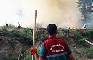 Başkan Gümüş, vatandaşları orman yangını riskine...
