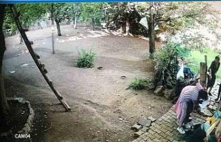 Batman’da 74 yaşındaki kadına taş ve sopalarla...