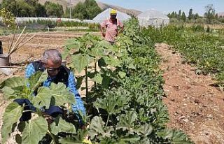 Bayburt Eko-Köyde vatandaşlar kendi hasat ettiği...