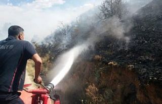 Bayburt’ta mesire alanında yangın