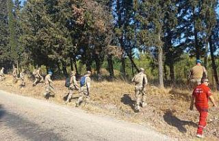 Berzeg için ormanlar karış karış aranıyor