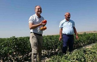 Besi çiftliği değil üniversite