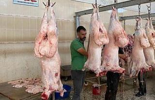 Besni’de kaçak kesimin önüne geçildi
