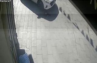 Beyoğlu’nda feci olay kamerada: İBB aracı kediyi...
