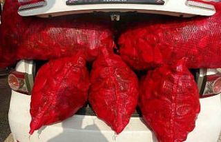 Biberin meşakkatli salça yolculuğu başladı