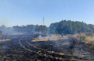 Biga’da ormanlık alanda çıkan yangın kontrol...