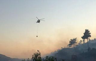 Bilecik’te korkutan orman yangını
