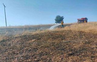 Bilecik’te kuşun elektrik tellerine çarpmasıyla...