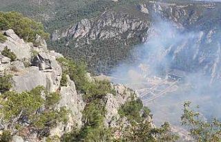 Bilecik’te orman yangını