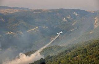 Bilecik’teki orman yangını kontrol altına alındı