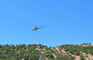 Bingöl’de 2 gündür süren yangın büyük oranda...