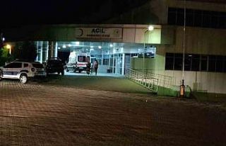 Bingöl’de hafif ticari araçla minibüs çapıştı:...