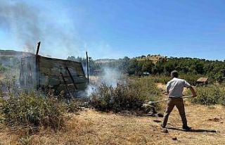 Bingöl’de metruk yapıda çıkan yangın ormanlık...