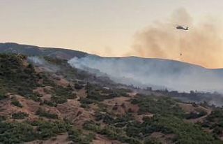 Bingöl’de orman yangınına müdahale sürüyor