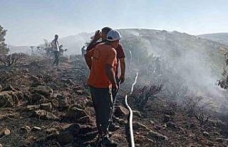 Bingöl’deki orman yangını kontrol altına alındı