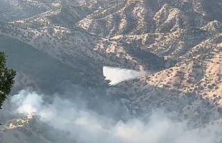 Bingöl’deki orman yangınına havadan ve karadan...