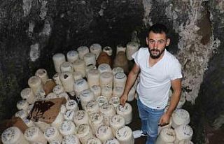 Binlerce yıllık mağara peynir deposuna dönüştü