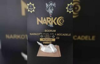 Bodrum’a uyuşturucuyla girmeye çalışırken yakalandı