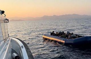 Bodrum’da 35 düzensiz göçmen kurtarıldı