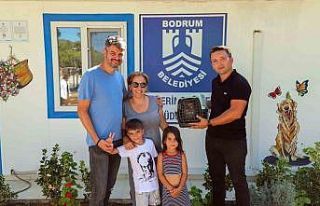 Bodrum’da bir firari maymun
