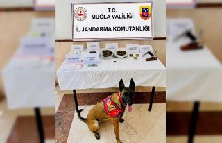 Bodrum’da uyuşturucu ve silah operasyonu