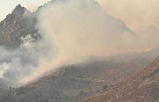 Bodrum’da yangın çıktı, havadan ve karadan müdahale...