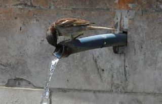 Bolu son 94 yılın en sıcak gününü yaşadı